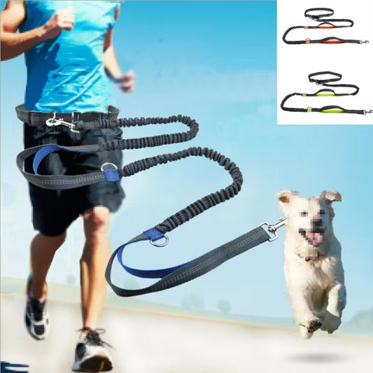 Reflective Leash Traction Rope Pet Dog Running Belt Elastic Hands Freely Jogging Pull Dog Leash Metal D-Ring Leashes Harness